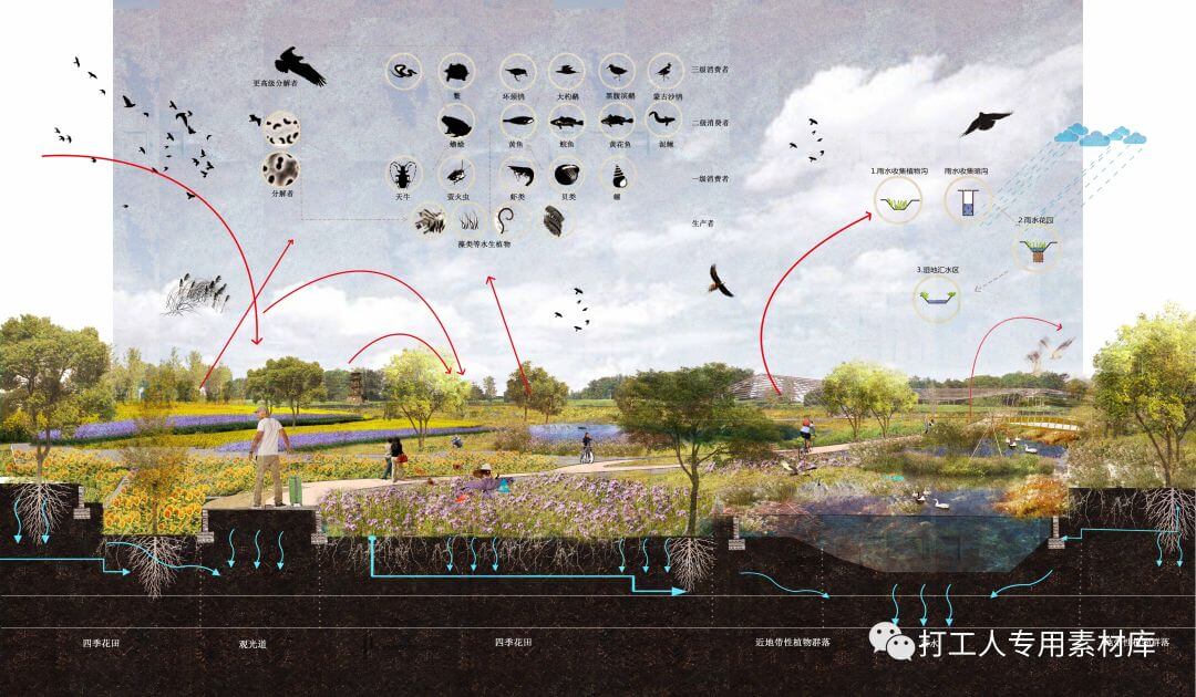 精选6个高端生态设计分析图