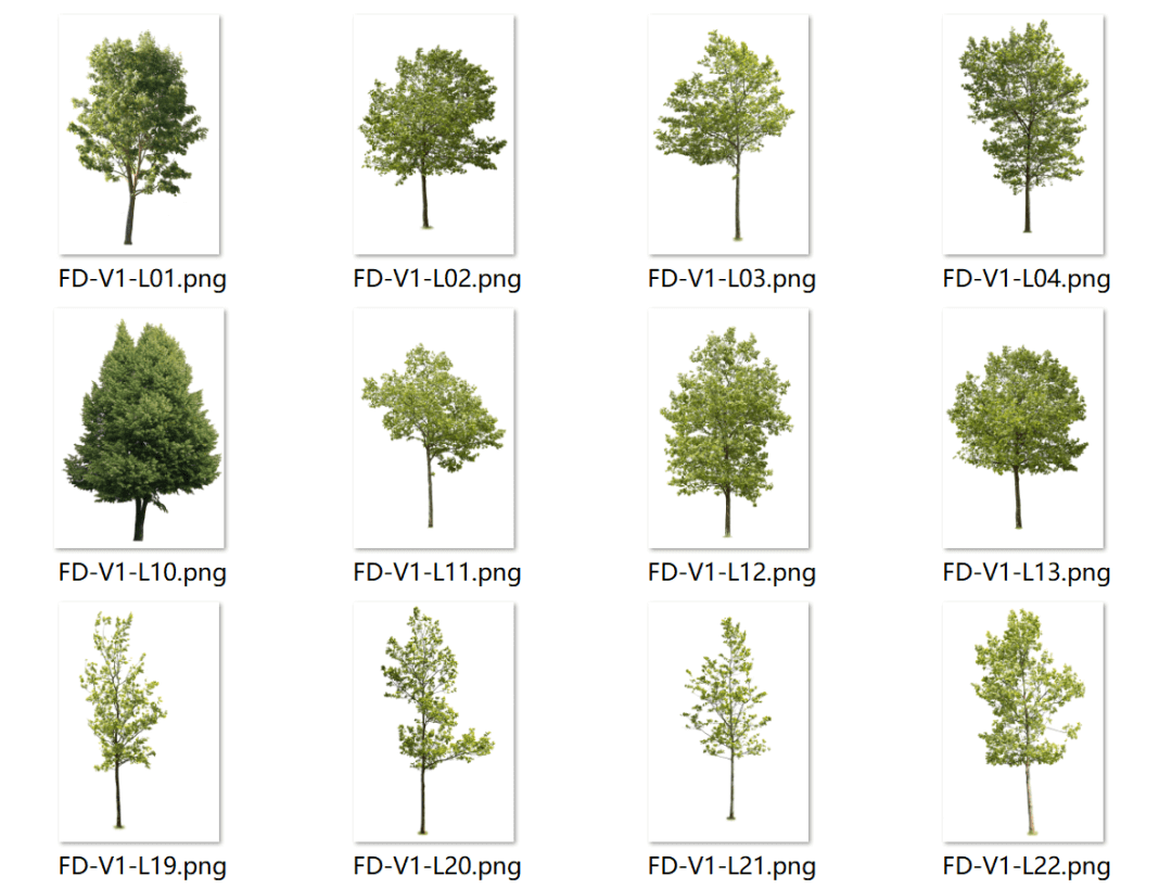 精选常用写实风立面树（PNG 2.95G）