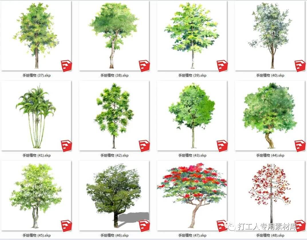 超全SU常用植物库素材大合集