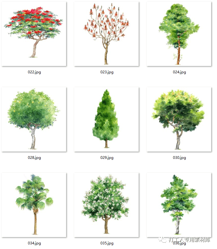 

手绘风/写实风立面树素材