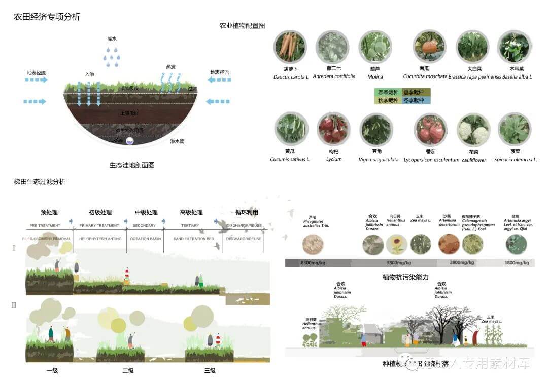 精选6个高端生态设计分析图