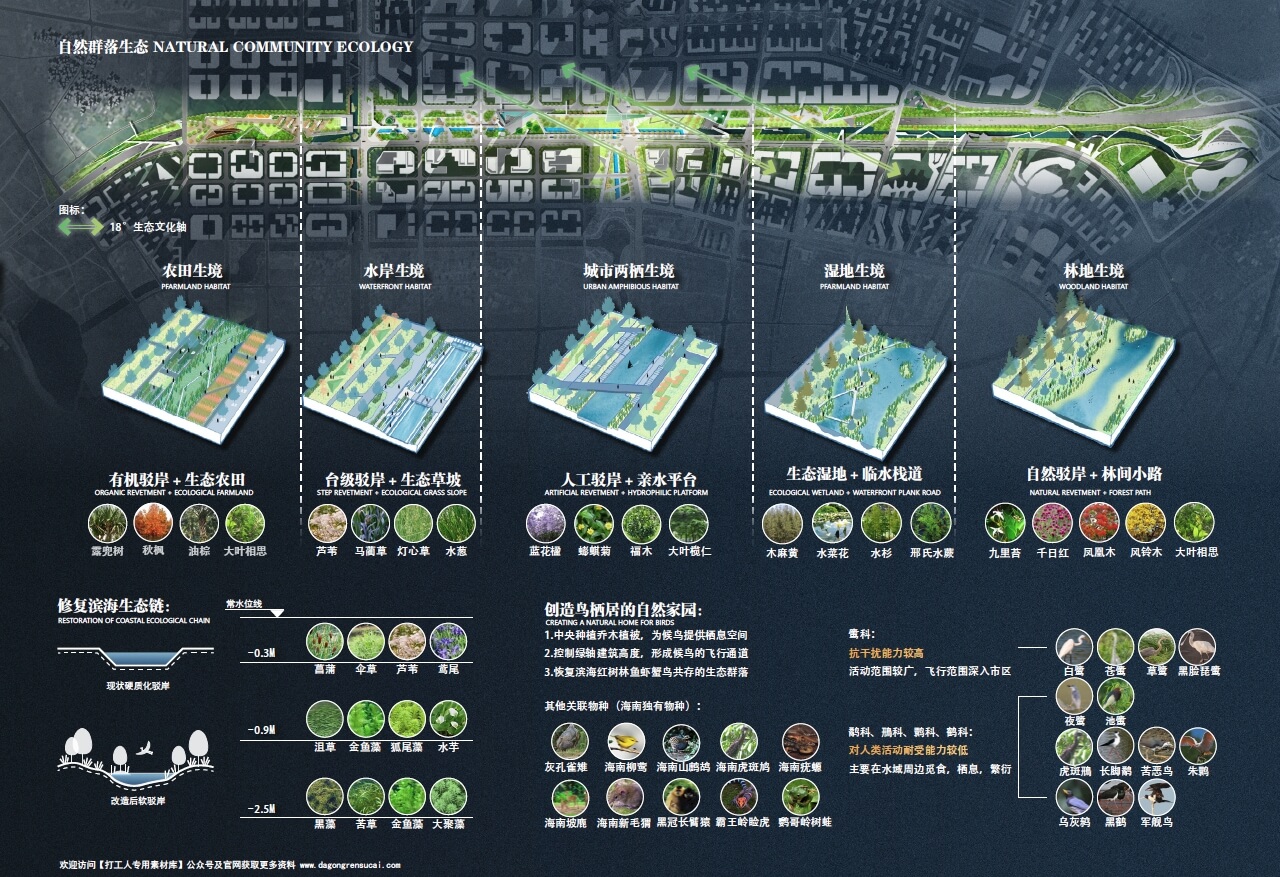 2022 三亚崖州湾科技城中央公园方案设计概念提案（11页，66M）【WY170】