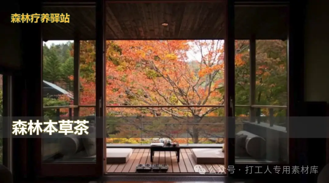 韶关南雄森林旅居康养胜地景观策划方案（153P，77M）【WB584】