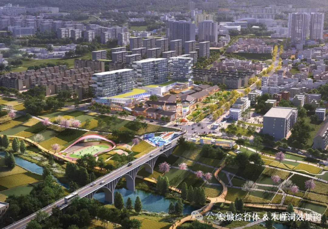 雅安汉源县九襄镇区概念性城市设计(120P,72M)【WB717】